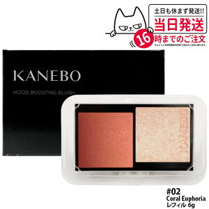 �J�l�{�E ���[�h�u�[�X�e�B���O�u���b�V�� ���t�B�� 6g 02 Coral Euphoria ���C�N�A�b�v �`�[�N �p�E�_�[�`�[�N �t�F�[�X�J���[ KANEBO ��������