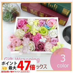 Mtg{bNX LTCY izCgE/sNE/O[EnNNj ya Mtg av[g     o KN j@v[g LO j j 