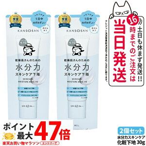 y 2Zbg Kiz ̓XLPAn 30g ێ  ېPA ωn SPF42 PA+++ KANSOSAN J\ET 