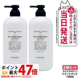 �y2�Z�b�g�zLebeL ���x�� �i�`������ �w�A �g���[�g�����g �E�B�Y RP 720ml �w�A �g���[�g�����g �w�A�P�A ��e�� �Ɩ��p ���e�� ���e�@ �T���� �w�A�T���� �ێ� �_���[�W �n���P�A ���邨�� ��