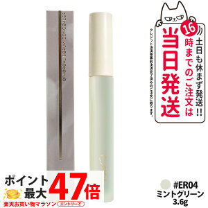 �G�N�Z�� �G�V���A�� �Z�����R���V�[���[ 3.6g ER04 �~���g�O���[�� ���ω��n ���e�t�R���V�[���[ �������� �R���V�[���[ ���e�t�^�C�v �x�[�X���C�N �J�o�[ EXCEL ��������