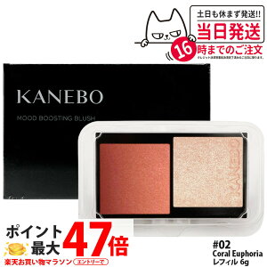 �J�l�{�E ���[�h�u�[�X�e�B���O�u���b�V�� ���t�B�� 6g 02 Coral Euphoria ���C�N�A�b�v �`�[�N �p�E�_�[�`�[�N �t�F�[�X�J���[ KANEBO ��������