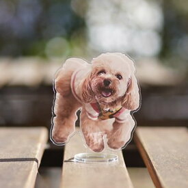 【オーダーメイド】うちの子グッズ 猫グッズ 犬グッズ ペットグッズ ペットの写真 うちの子の写真 メモリアル 記念品 ペットロス ウサギ インコ オリジナル プレゼント 雑貨 アクリルフィギュア　アクリルスタンド