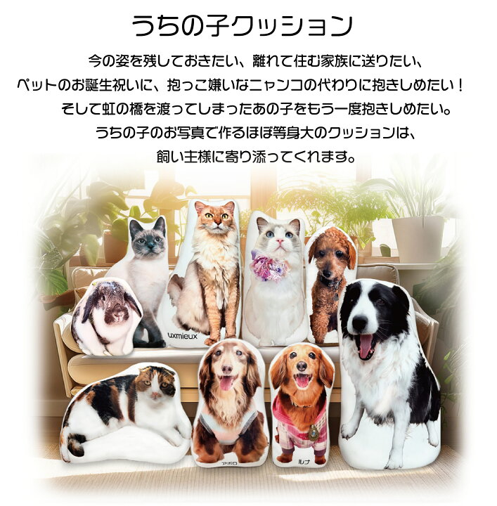 楽天市場】うちの子グッズ うちの子クッション SSサイズ ぬいぐるみ  