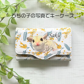【オーダーメイド】うちの子グッズ 猫グッズ 犬グッズ ペットグッズ ペットの写真 うちの子の写真 メモリアル 記念品 ペットロス ウサギ インコ オリジナル プレゼント 雑貨 可愛い アンティーク キーケース ミモザ