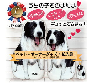 ̎qObY@̎qNbV@LTCY@ʂ݁@l`@ybgObY@I[_[Ch@I[_[NbV@ybg̎ʐ^@̎q̎ʐ^@A@@A@