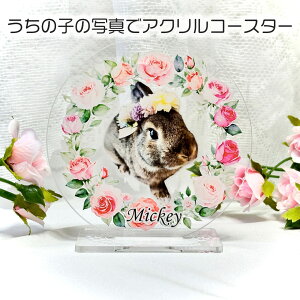 LObY@ObY@ybgObY ̎q̎ʐ^ R[X^[ ANX^h A@v[g@̎qObY@ybg̎ʐ^@I[_[Ch@ybĝaLO@v