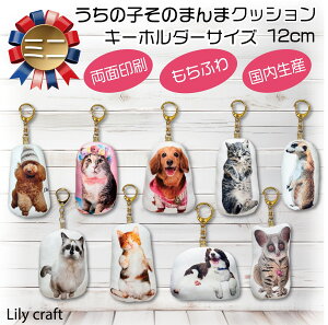 LObY@ObY@ybgObY @̎qObY@~jNbV@L[z_[̎qNbV@ʂ݁@l`@@I[_[Ch@ybg̎ʐ^@̎q̎ʐ^@A