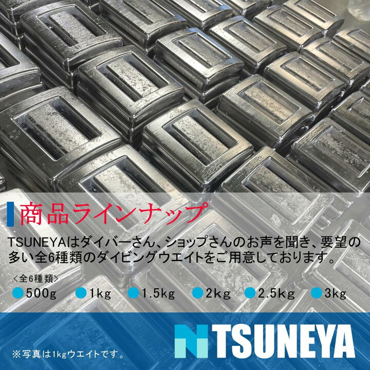 楽天市場】送料無料 【1kg 1個】ダイビング用ウエイト セット ウエイト 