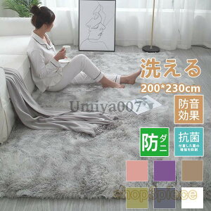 ���O �J�[�y�b�g �􂦂� 2�� 3�� ���O�}�b�g �O�~ ���� �k���� �������40*60 160×230 �V���M�[���O �t �� �H�~ �h�_�j ����~�ߕt �z�b�g�J�[�y�b�g �J�o�[