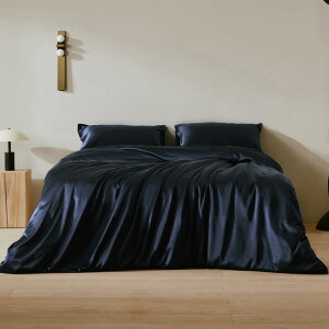 [VN QJo[ VN |zcJo[ 4_Zbg VO Z~_u _u NC[ LO  k g _炩 RAM[ qKp 19VN100% Ȃ 