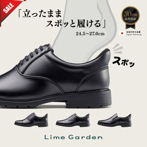 yP5{!zy܂ܗvCz ]5.00 rWlXV[Y Y Xj[J[ amC  ubN uE EH[LO V[Y  ʋ y CK[f 24.5cm`