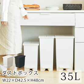 【全品200円OFFクーポン★～11日1:59迄】抗菌 防汚加工 ダストボックス 35L W22×D42.5×H48cm ゴミ箱 ごみ箱 フットペダル ペダル式 おしゃれ 分別 分別ダストボックス シンプル おしゃれ 北欧