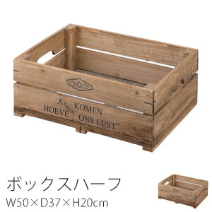 {bNX n[tTCY W50×D37×H20cm [ BOX h[ pg[ Lb`  g _ Be[W JtF i` k C VR J