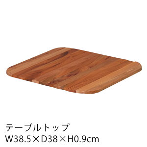 e[ugbv 30Lp W38.5×D38×H0.9cm V [ AEghA BBQ Lv ڂ C