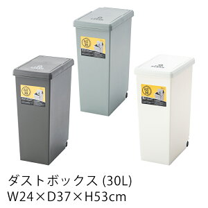 XChy[ 30L S~ ݔ _Xg{bNX   ʃ_Xg{bNX uE O[ zCg
