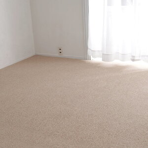 O O}bg J[ybg O~ イ ]ˊ10 352×440cm 10 ` E[ E[100 VRf h R hL h_j g[Ή zbgJ[ybgΉ Y I[V[Y V