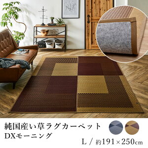 Y   COT 䑐O O}bg J[ybg  DX[jOi\j 191×250cm s Y { z R L t  a_ a V hV̓