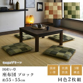 《同色2枚セット》 国産 い草 座布団 クッション おしゃれ 市松 ブロック 約55×55cm 2枚組 日本製 吸湿 抗菌 消臭 春 夏 和モダン 和室 新生活 父の日 ギフト