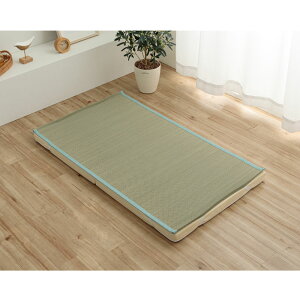   COT 䑐V[c Q  ₵ 70×120cm xr[TCY a_ a bNX  K z Y { Ԃ xr[ t  JWA V hV̓