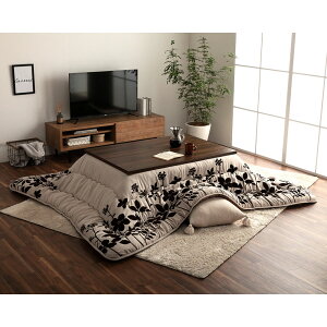 |zc VGi 205×285cm ` | R^czc xzc |zc Jo[ ȃGl ߓd  k  _