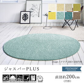 【6/1限定★全品300円OFFクーポン】ラグ ラグマット カーペット おしゃれ ≪ジャスパーPlus 約200×200cm（円形）≫ 絨毯 じゅうたん 丸 プレーベル シャギー 洗える 滑り止め 抗菌 消臭 防ダニ 抗アレルゲン 床暖房対応 新生活 父の日 北欧