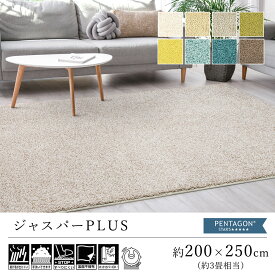 【500円OFFクーポン★～27日9:59迄】ラグ ラグマット カーペット おしゃれ ≪ジャスパーPlus 約200×250cm（約3畳相当）≫ 絨毯 じゅうたん プレーベル シャギー 洗える 滑り止め 抗菌 消臭 防ダニ 抗アレルゲン 床暖房対応 新生活 父の日 北欧