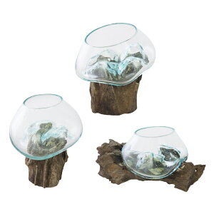 OXIuWF A[g OX IuWF CeA G k C VR V hV̓