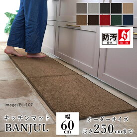 マット キッチンマット 廊下敷き オーダーサイズ【10cm単位/幅60cm×長さ210〜250cmまで】 BANJUL バンジュール 消臭 防汚 はっ水 静電気防止 防炎 防ダニ 床暖房対応 ホットカーペット対応 カラフル 日本製 国産 春 夏