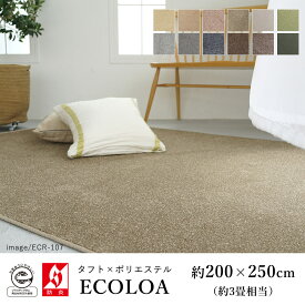 ラグ ラグマット カーペット ECOLOA エコロア/約200×250cm(約3畳相当) ECO 消臭 防汚 静電気防止 防炎 床暖房対応 ホットカーペット対応 カラフル 日本製 国産 春 夏 オールシーズン
