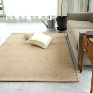 O O}bg J[ybg ECOLOA GRA/200×200cm(2) ECO L h ÓdCh~ h g[Ή zbgJ[ybgΉ Jt { Y t  I[V[Y