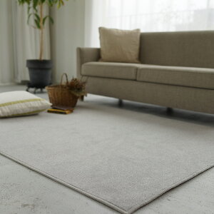 O O}bg J[ybg ECOLOA GRA/200×200cm(2) ECO L h ÓdCh~ h g[Ή zbgJ[ybgΉ Jt { Y t  I[V[Y