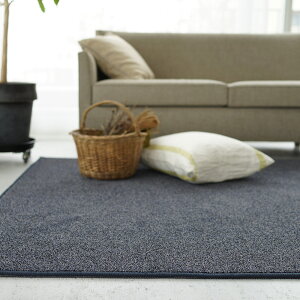 O O}bg J[ybg ECOLOA GRA/200×200cm(2) ECO L h ÓdCh~ h g[Ή zbgJ[ybgΉ Jt { Y t  I[V[Y