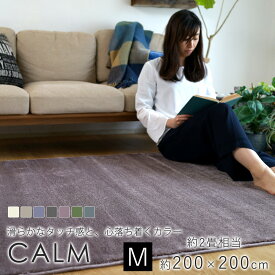 【6/1限定★全品300円OFFクーポン】スミノエ/BIG SIZE RUG カームラグ 約200×200cm（約2畳相当）