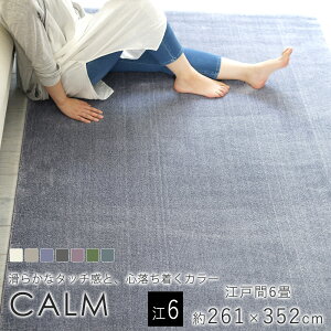 X~mG/BIG SIZE RUG J[O 261×352cmi]ˊ6j