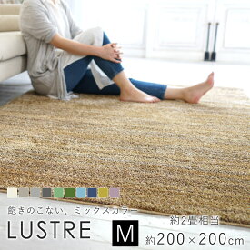 【6/1限定★全品300円OFFクーポン】スミノエ LUSTRE リュストル ラグ 約200×200cm（約2畳相当）ラグマット ラグ マット カーペット 絨毯 防音 遮音 滑り止め 防炎 防ダニ 遊び毛防止 国産 日本製 床暖房対応 ホットカーペット対応 新生活 父の日