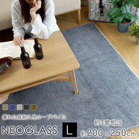 ネオグラス 約200×250cm（約3畳相当） シャギーラグ BIG SIZE RUG 防ダニ 滑り止め 防炎 ホットカーペット 床暖房 日本製