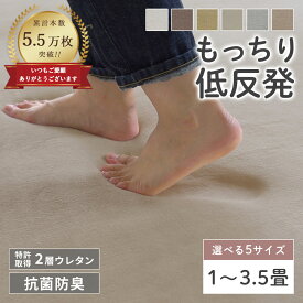 《一部カラー20％OFF》 ラグ ラグマット カーペット 抗菌 防臭 低反発 高反発 厚手 1畳 1.5畳 2畳 3畳 3.5畳 絨毯 じゅうたん 2層 遮音 防音 長方形 四角 おしゃれ 北欧 韓国 赤ちゃん 小さめ 大きめ 秋冬ラグ フォレスR