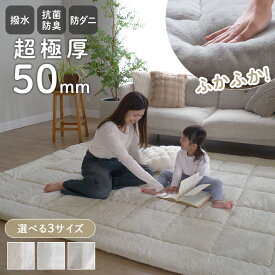 【50％OFFクーポン★土日限定】超極厚 ラグ はっ水 撥水 極厚 厚手 50mm 防ダニ 抗菌 防臭 1.5畳 2畳 3畳 節電 ラグマット カーペット 絨毯 じゅうたん 遮音 防音 低ホルム 韓国 オールシーズン ER-021