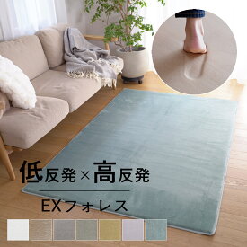 【スーパーSALE価格★〜12/11 1:59迄】【処分品のため在庫限り】低反発 ラグ 高反発 極厚 厚手 EXフォレス 1畳 1.5畳 2畳 3畳 3.5畳 ラグ ラグマット カーペット 絨毯 じゅうたん 遮音 防音 長方形 四角 おしゃれ 北欧 韓国 赤ちゃん オールシーズン