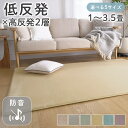 【処分品のため在庫限り】低反発 ラグ 高反発 極厚 厚手 EXフォレス 1畳 1.5畳 2畳 3畳 3.5畳 ラグ ラグマット カーペット 絨毯 じゅうたん 遮音 防音 長方形 四角 おしゃれ 北欧 韓国 赤ちゃん オールシーズン