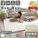 《一部カラー20％OFF》 ラグ ラグマット カーペット 抗菌 防臭 低反発 高反発 厚手 1畳 1.5畳 2畳 3畳 3.5畳 絨毯 じ…