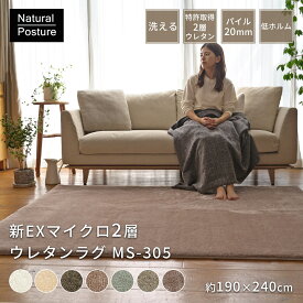 【ほぼ全品P3倍★〜11/9迄】ラグ ラグマット カーペット 絨毯 新EXマイクロ 新2層 ウレタンラグ 約190×240cm（Lサイズ/約3畳サイズ） MS-305 丸洗い 洗える ウォッシャブル 北欧 韓国 赤ちゃん おしゃれ マイクロファイバー 滑り止め