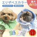 ＼最大40％オフクーポン／エリザベスカラー 猫 犬 ソフト ネコ フリル 柔らかい 簡単装着 猫用 犬用 かわいい スタイ …