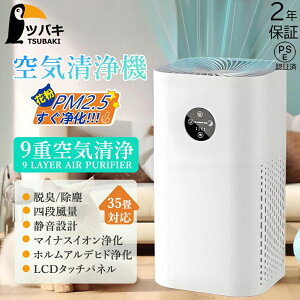 空気清浄機 小型 省エネ 花粉対策 暑さ梅雨対策 節電 卓上 ハウスダスト ペットの毛 ペット臭い PM2.5 脱臭 3重除菌 家庭用 静音 360°循環清 35畳まで PSE認証