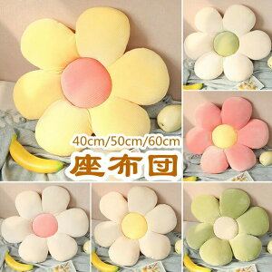 zc NbV 40cm 50cm 60cm ʂ  킢 Q  V ֎q CX k Vv