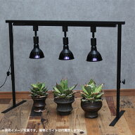 ライトレールスタンド　複数　卓上スタンド　育成ライト　植物　アガベ　観葉植物　塊根植物　lim iron c…