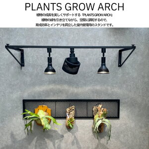 PLANTS GROW ARCH@琬Cg@vcEOEEA[` rJNV_@RE@EH[X^h@rU[vc@A琬Cg@T[L[^[@@@t\@r