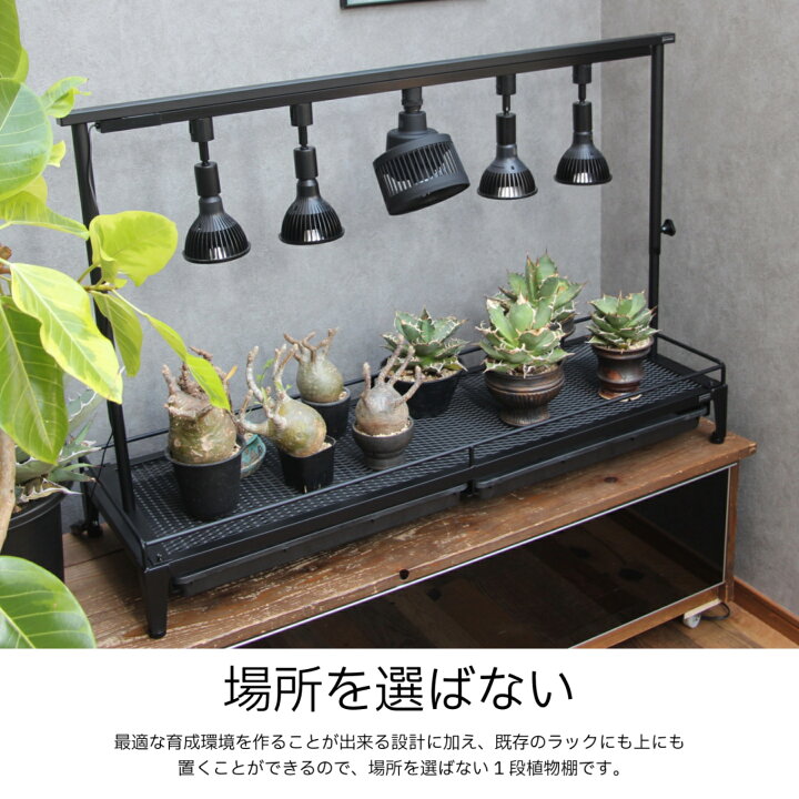 楽天市場】植物棚スターターセット 水受けトレー付1段植物棚 mini植物 