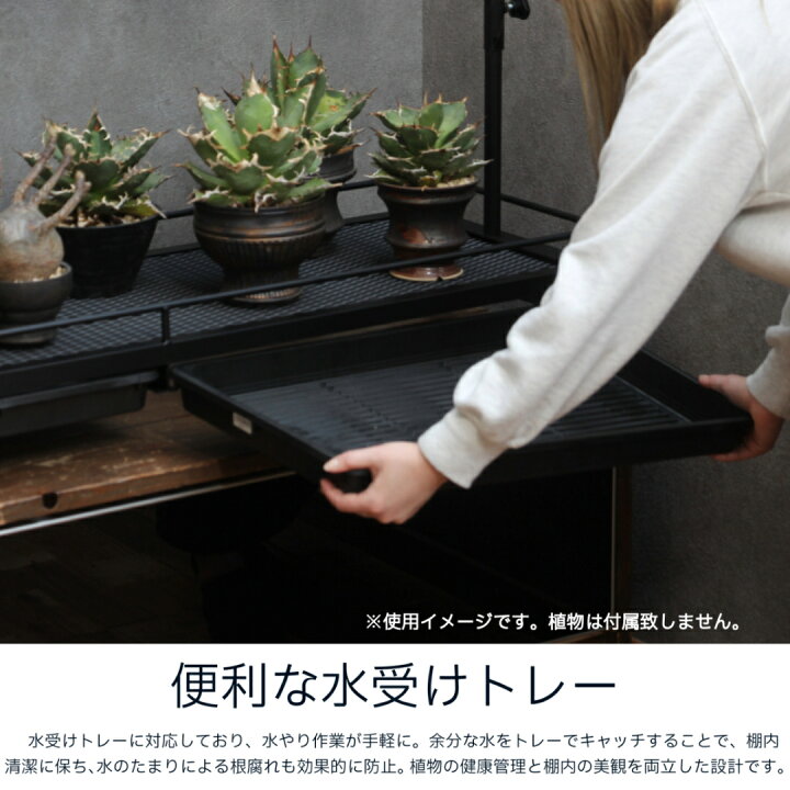 楽天市場】植物棚スターターセット 水受けトレー付1段植物棚 mini植物 